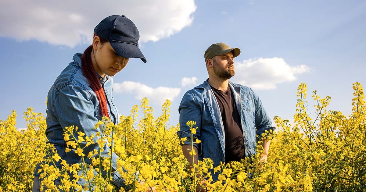 Hail Happens—Make Sure Your Crops Are Covered! Hail Happens—Make Sure Your Crops Are Covered!