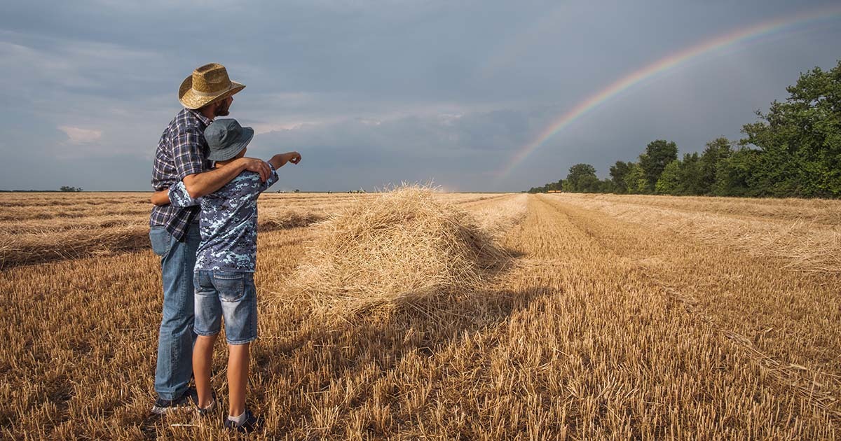 Protecting Your Property and Livelihood - A Guide to Farm Insurance