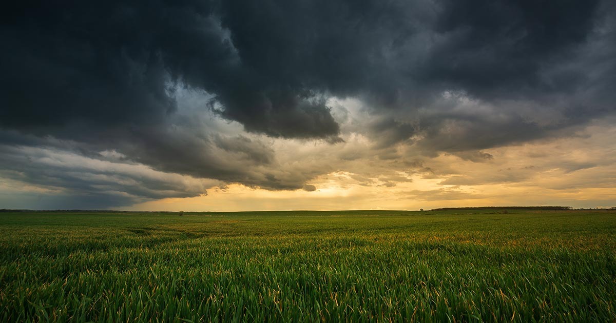 Hail Happens—Make Sure Your Crops Are Covered!